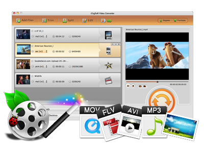 iorgsoft video converter for mac